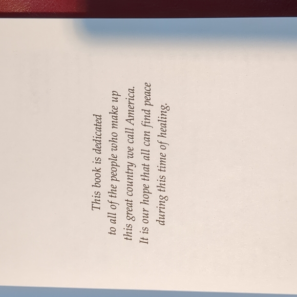 Chicken Soup for the Soul of America - Picture 7 of 10